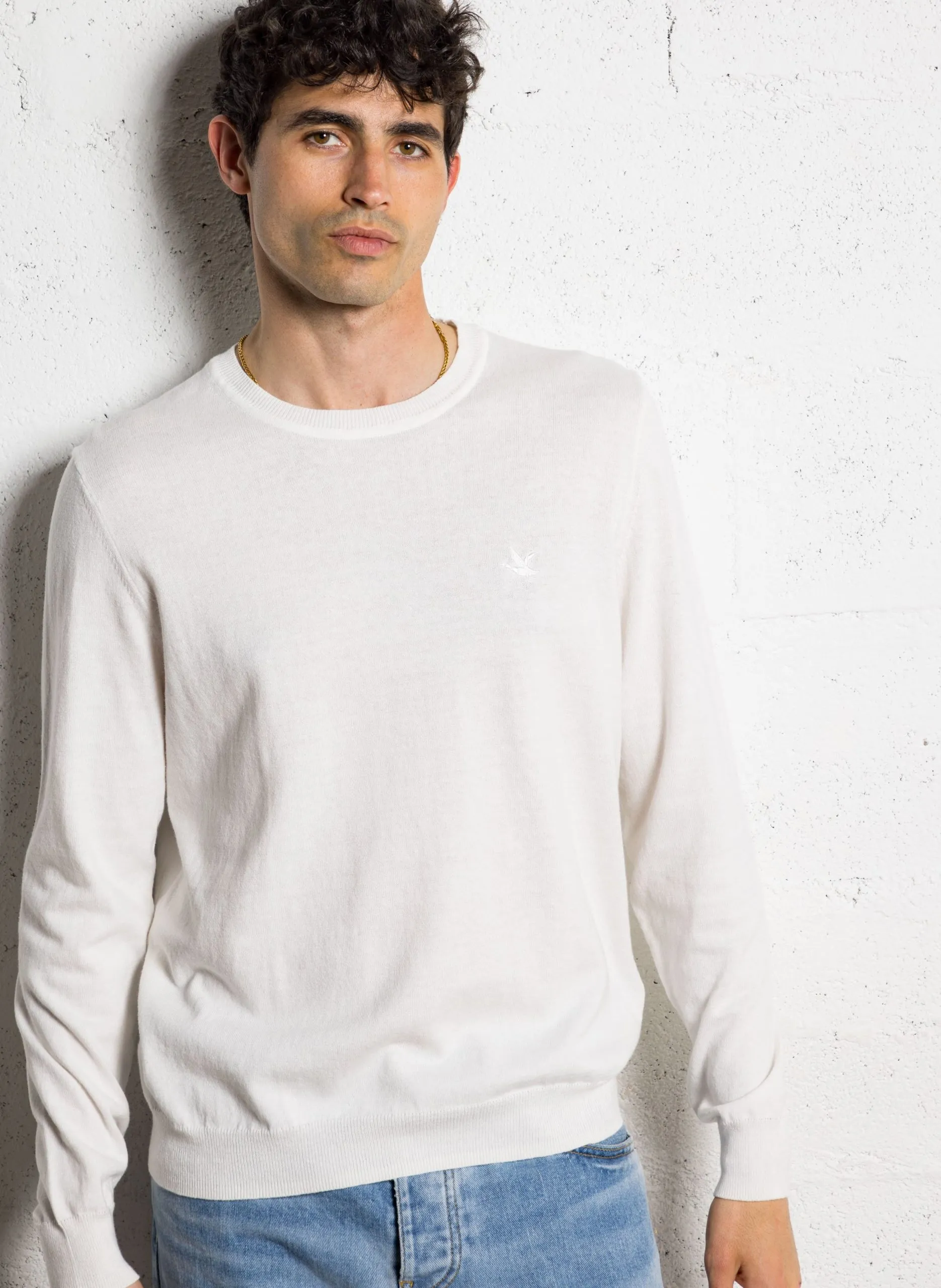 Pull col rond en coton Bleu TOG S