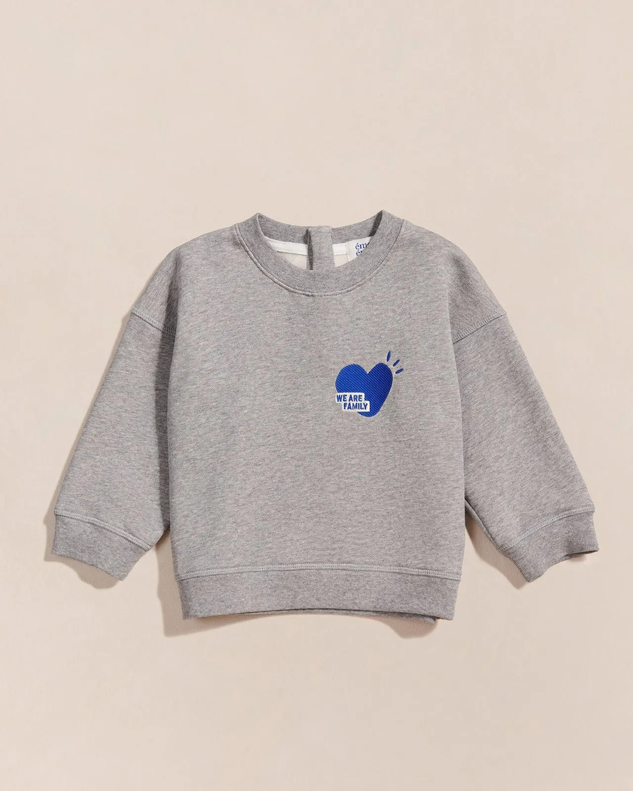 Le sweat we are family en coton bio Gris