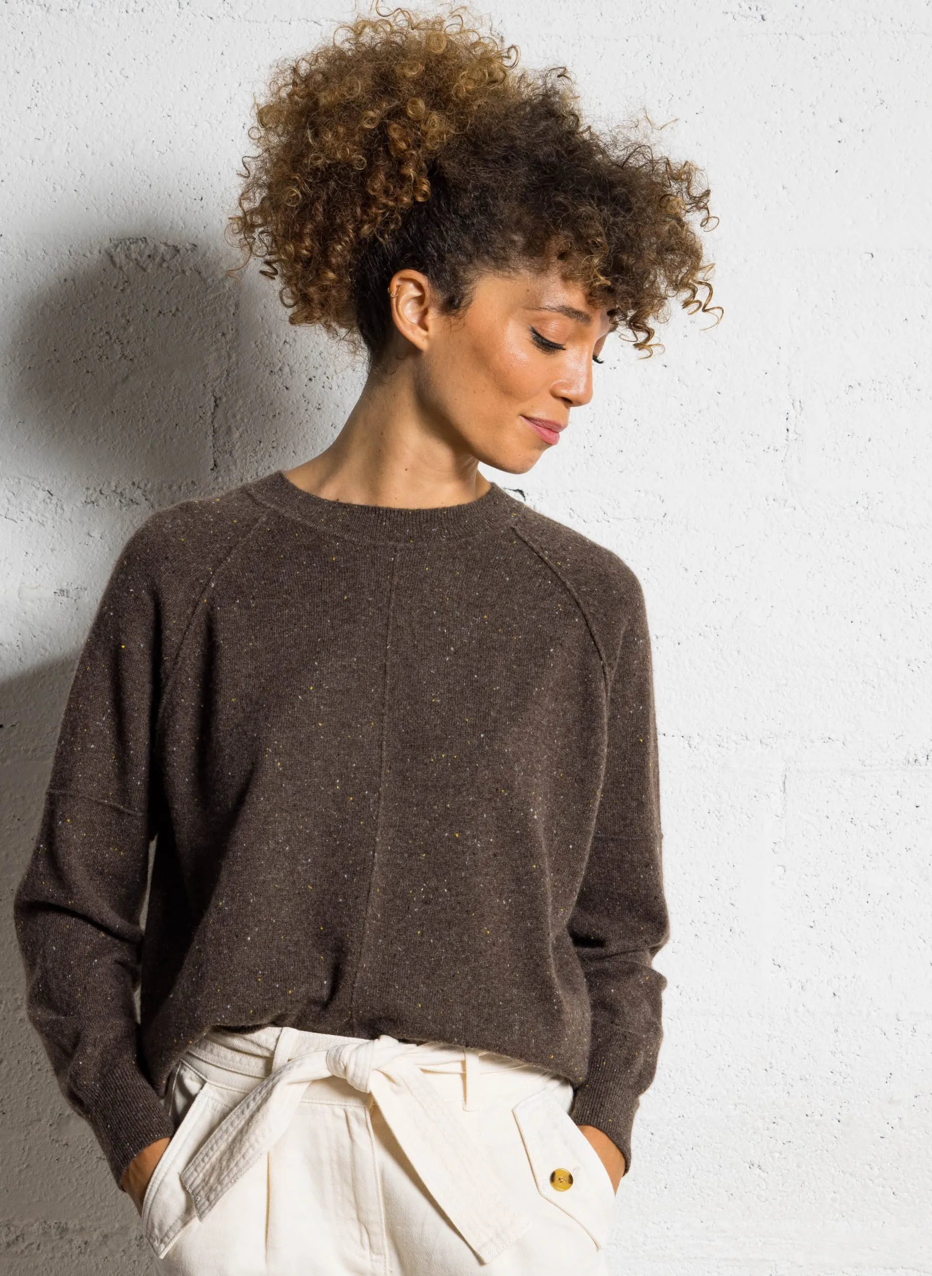 Pull col rond moucheté en cachemire Marron ARY BIS