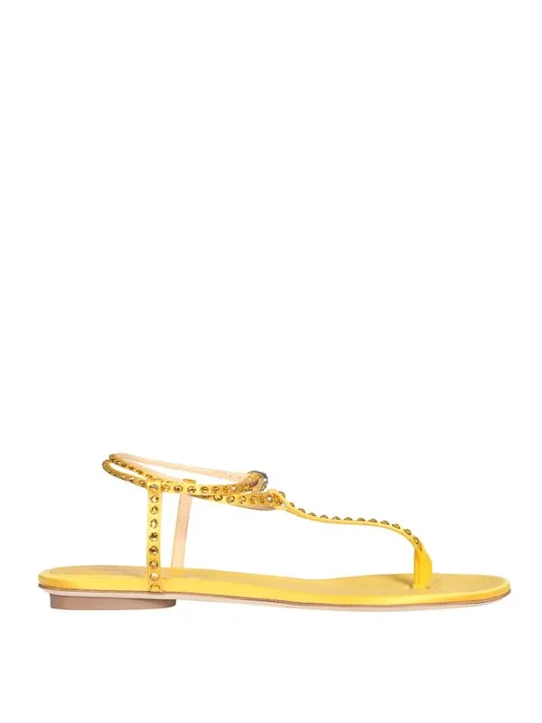 Giannico Sandales - Jaune - Jaune - Femme | GI020815CC28385001